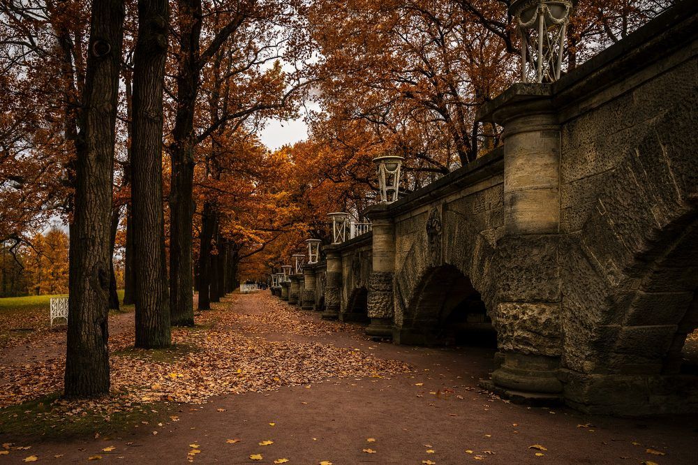 Photograph by Дьяченко Алёна