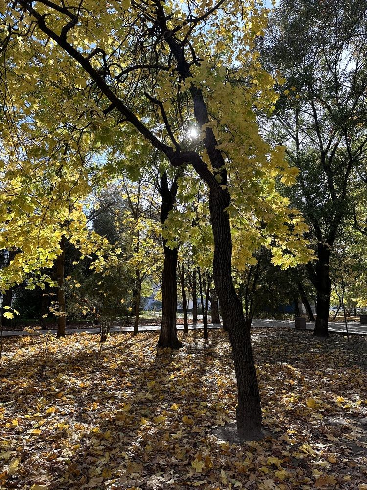 Photograph by Юлия