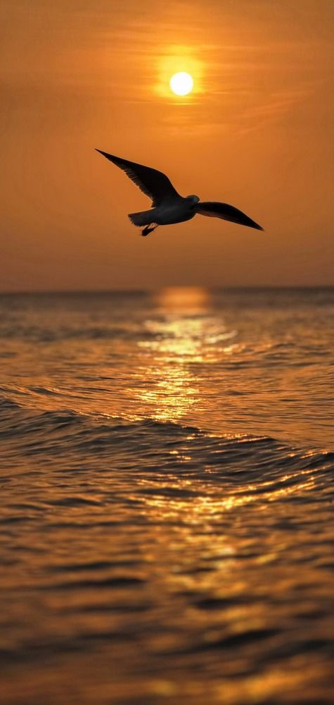 Photograph by Natali