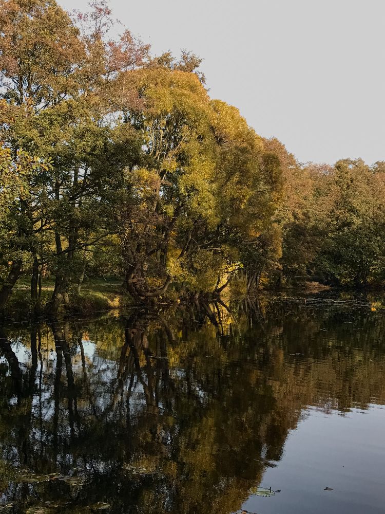 Фотография автора Наталия