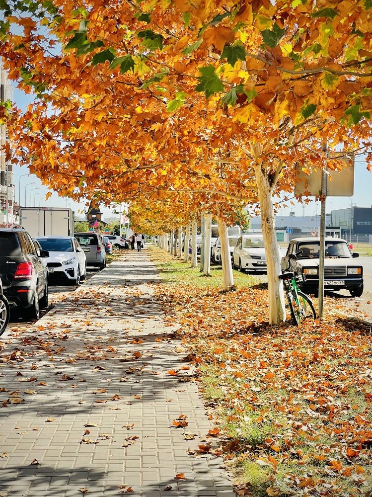 Photograph by Мария Ковригина