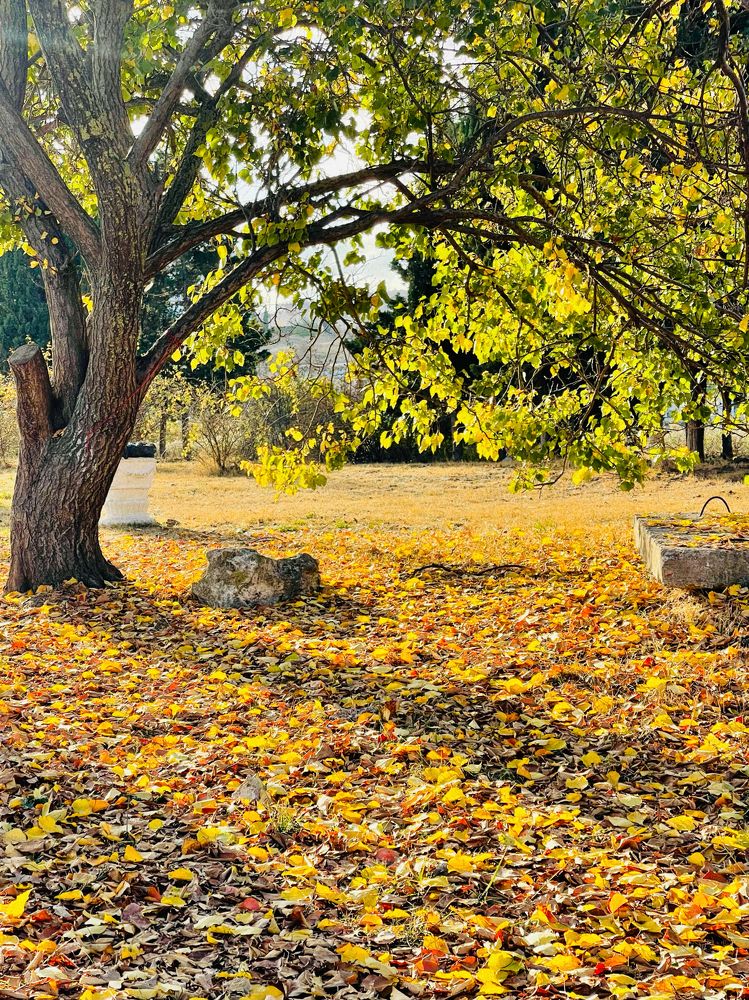 Photograph by Мария Ковригина