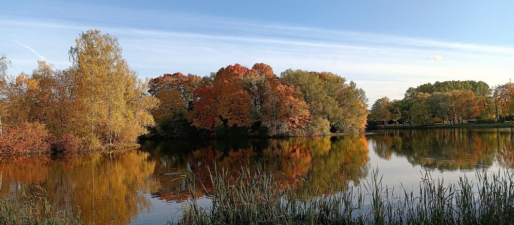 Photograph by Наталья Шумилова