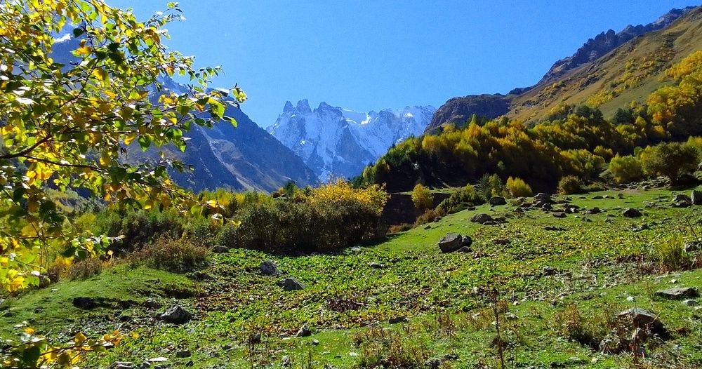 Photograph by Сергей Смоленцев