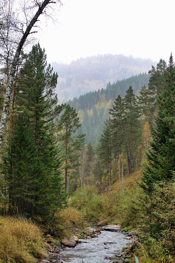 Photograph by Павел Кузьмин