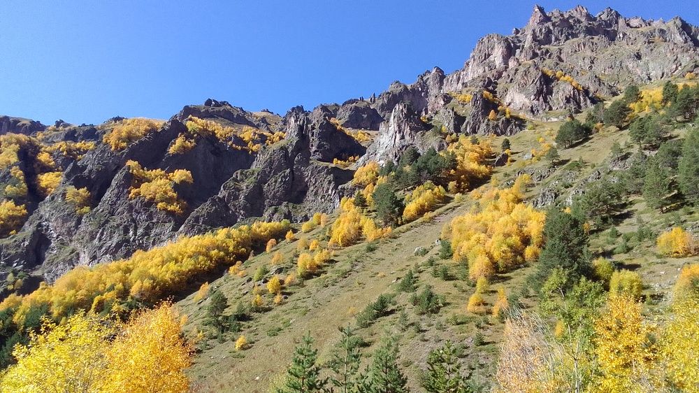 Photograph by Сергей Смоленцев