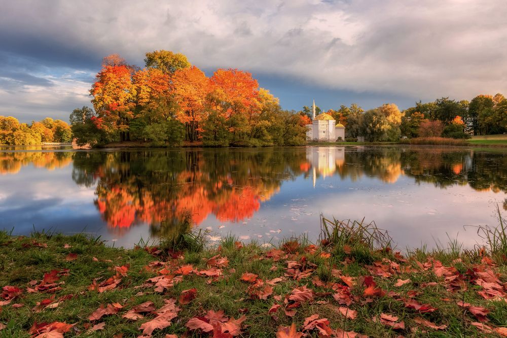 Photograph by Дмитренко Екатерина