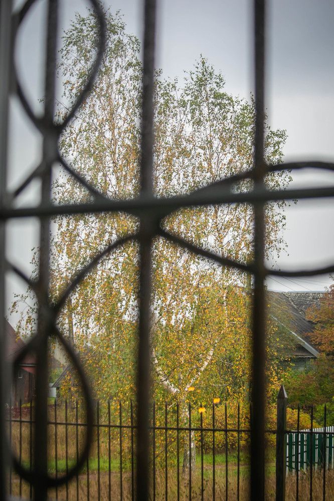 Photograph by Ольга Сафронова