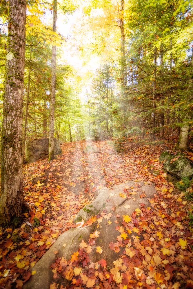 Photograph by Jack Bespalove