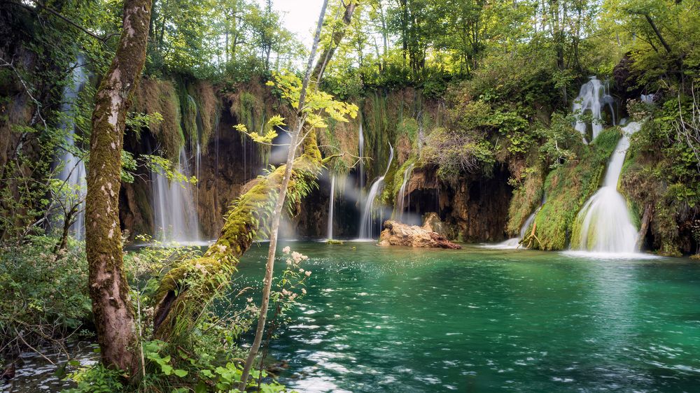 Photograph by Думнова Алёна