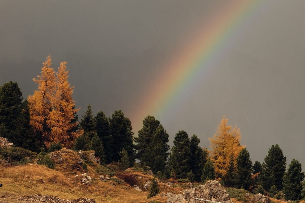 Фотография автора Ketov Vladimir