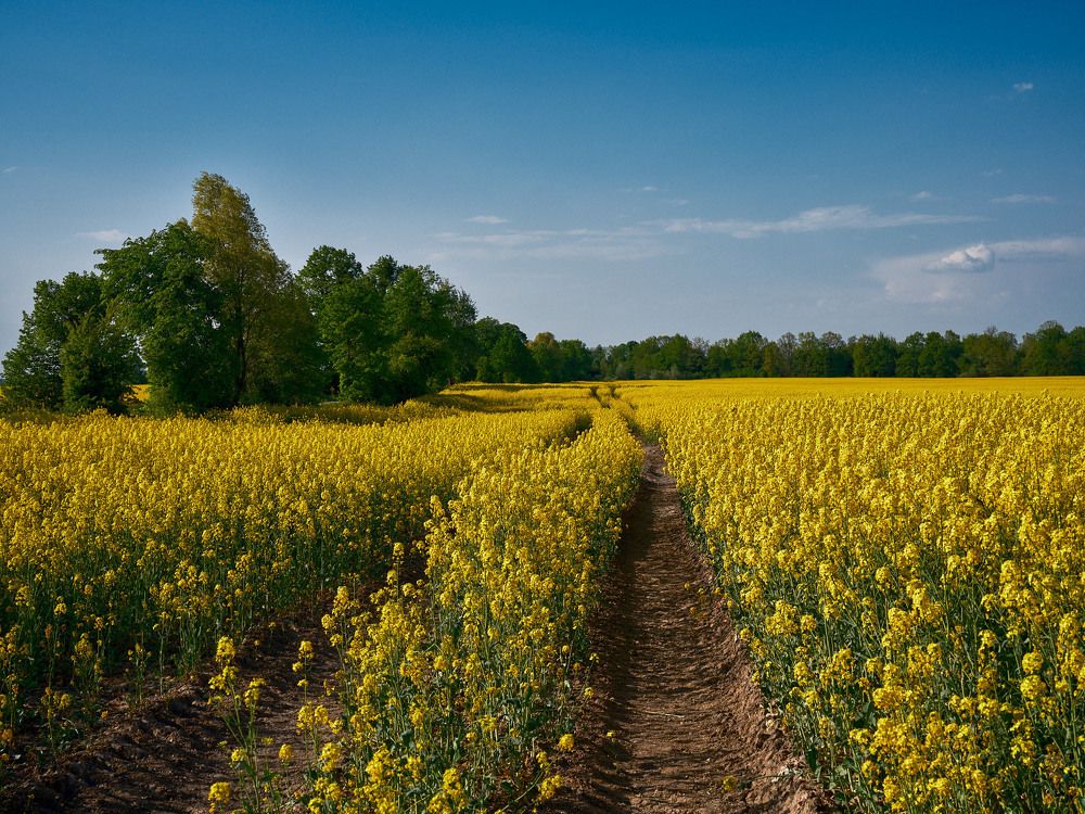 Photograph by Леонид Якутин