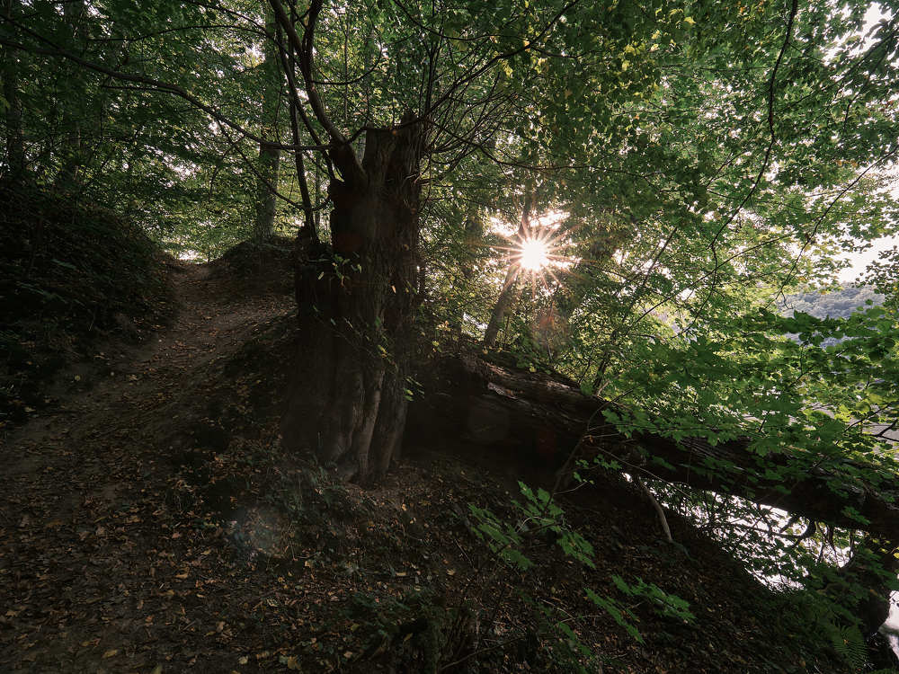 Photograph by Леонид Якутин