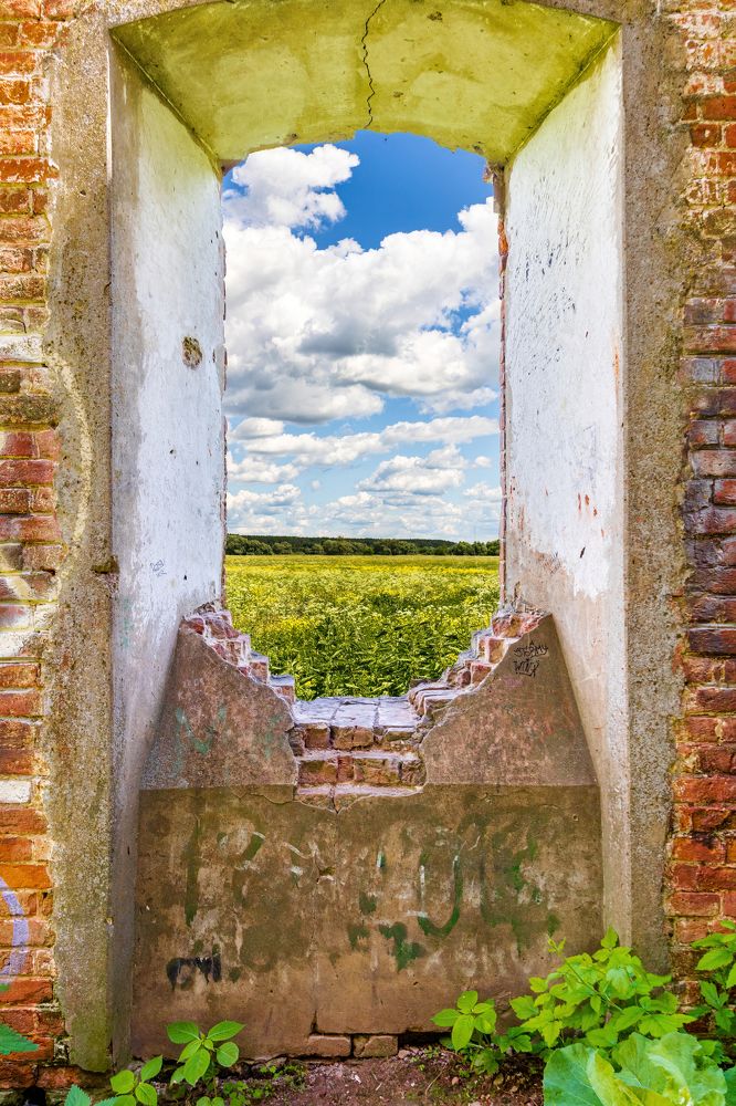 Photograph by Алексей Чеботарев