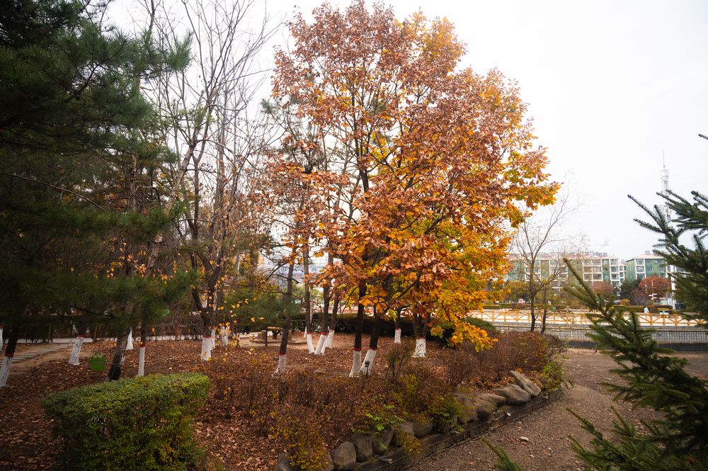 Photograph by Марина Степаненко