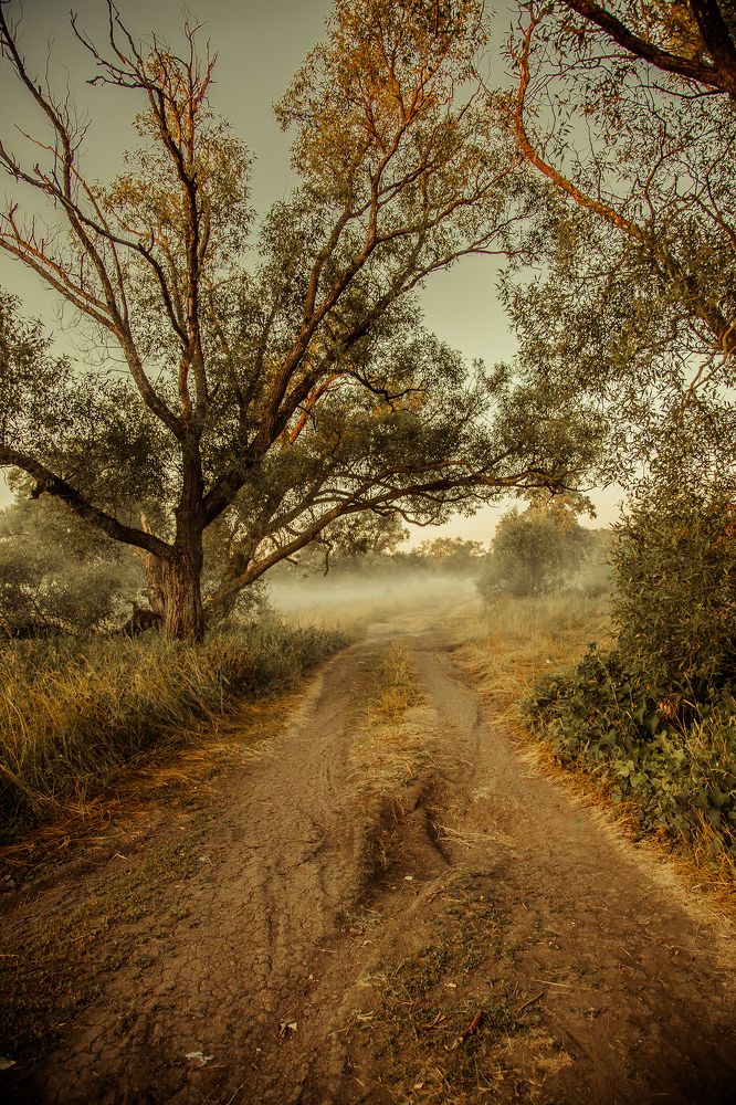 Photograph by Сагдиева Эльвира