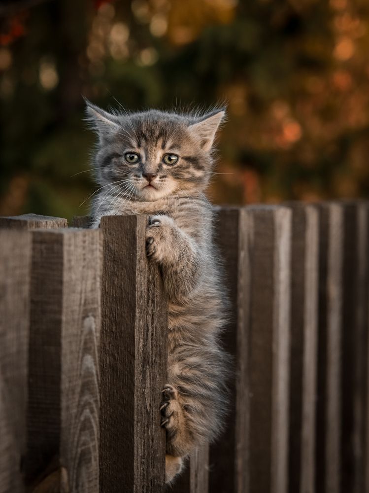 Photograph by Васильев Игорь