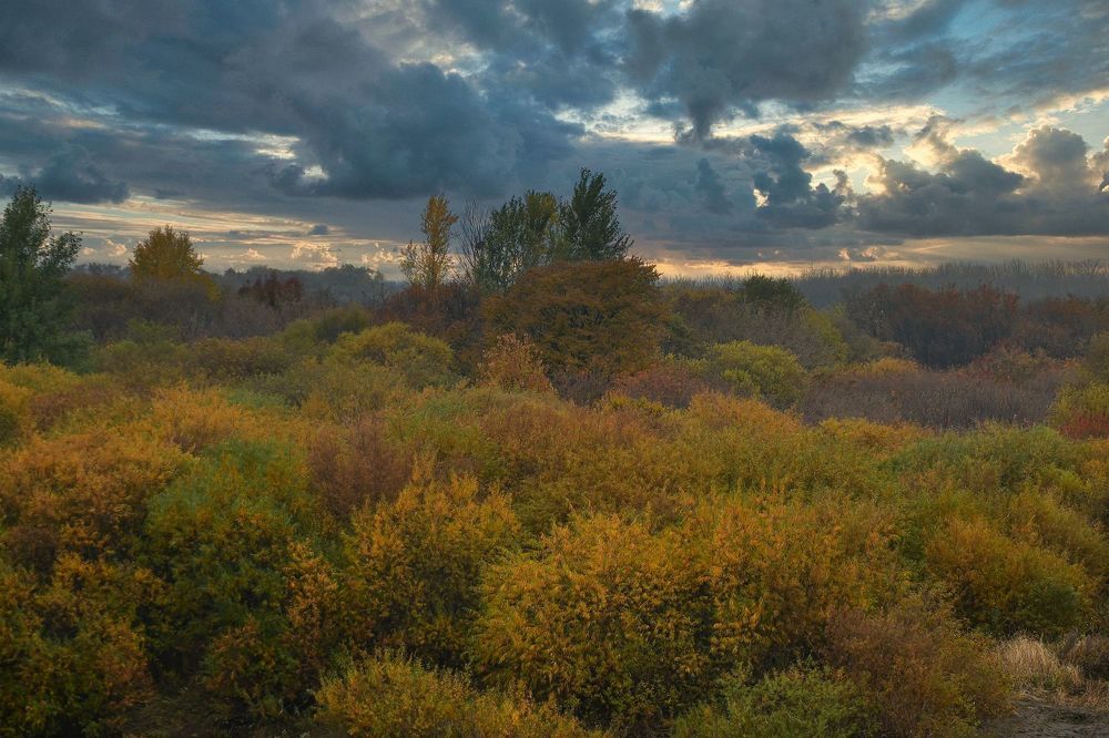 Photograph by Олег Волков