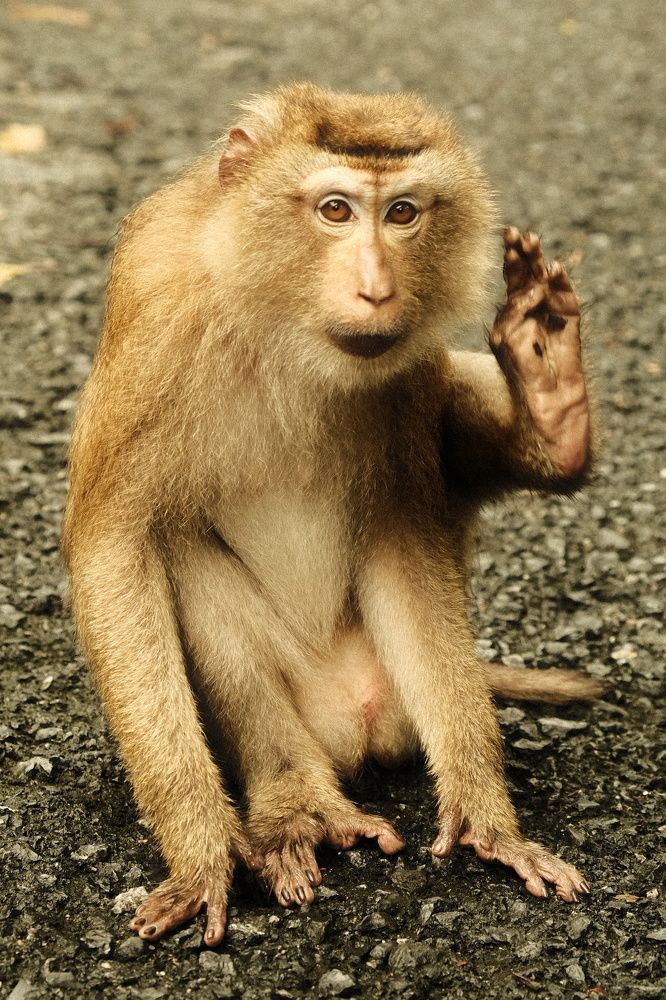 Photograph by Артём