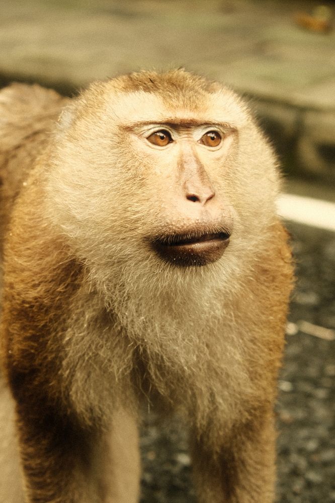 Photograph by Артём