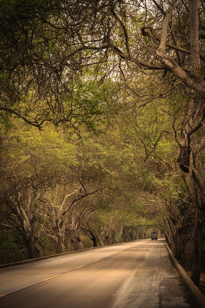 Photograph by Susie Castellano