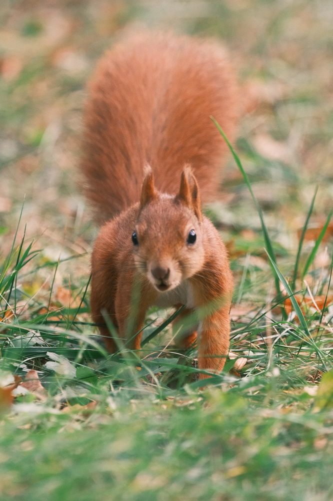 Photograph by Артём