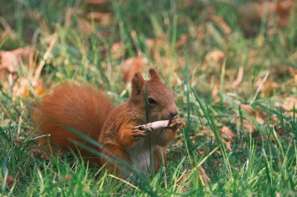 Photograph by Артём