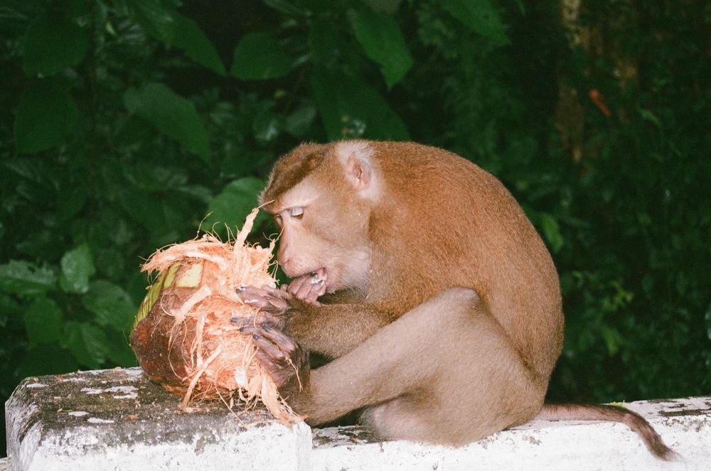 Photograph by Артём