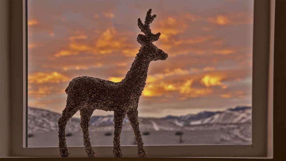 Photograph by Гришанов Пётр