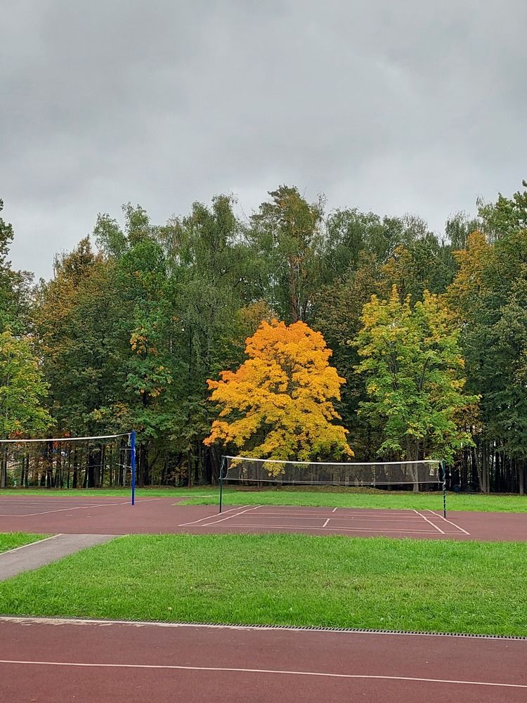 Фотография автора Мария Коледа