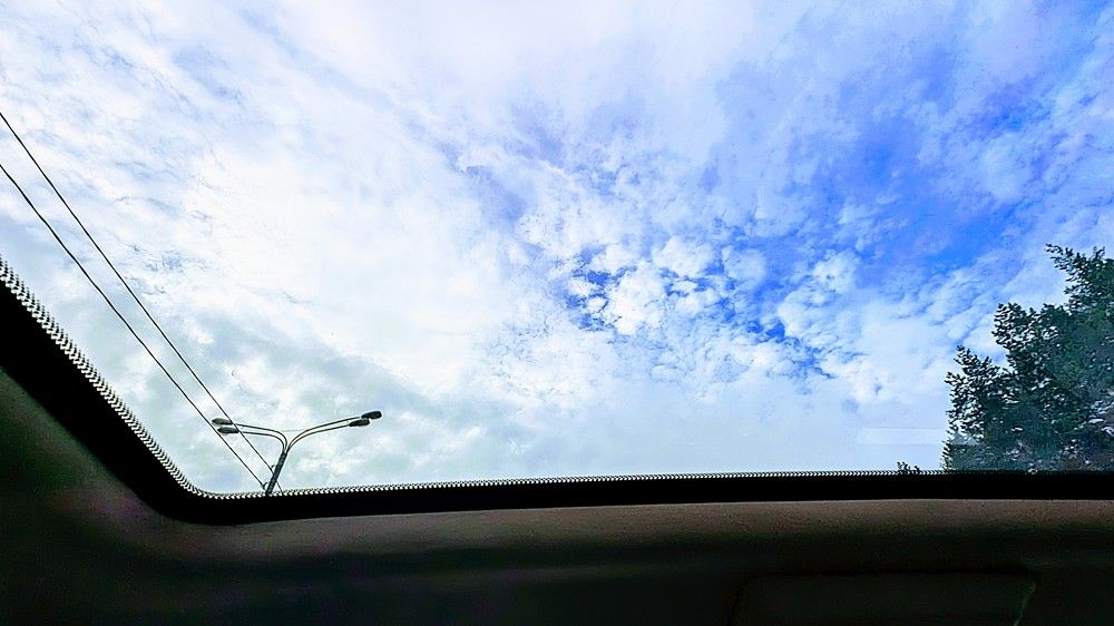 Фотография автора Мария Коледа