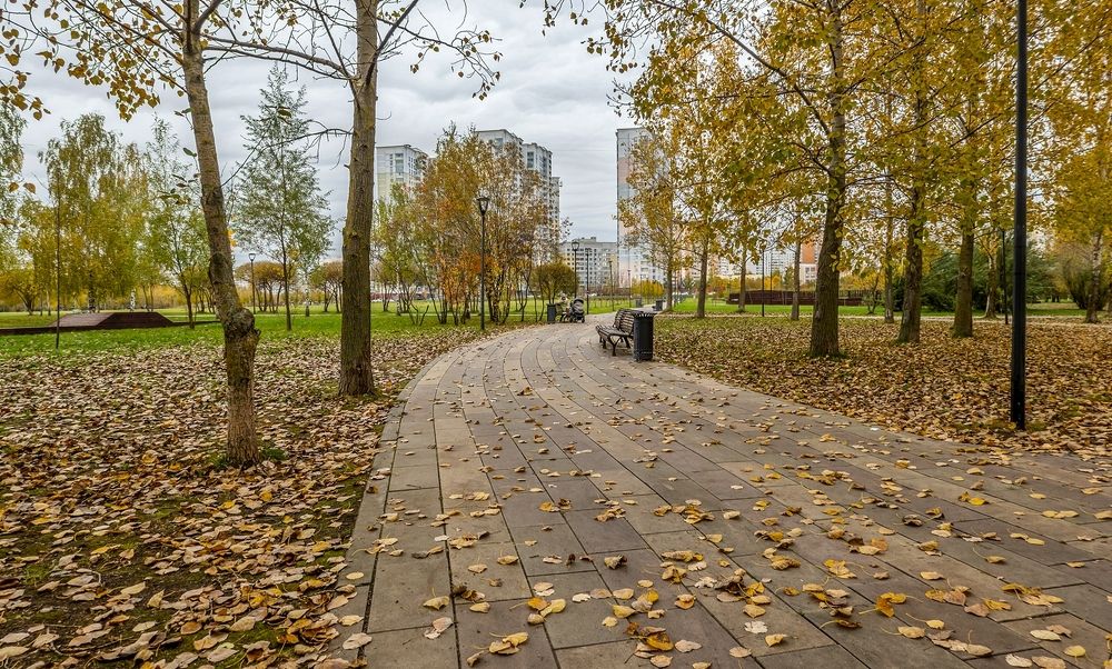 Осенний парк