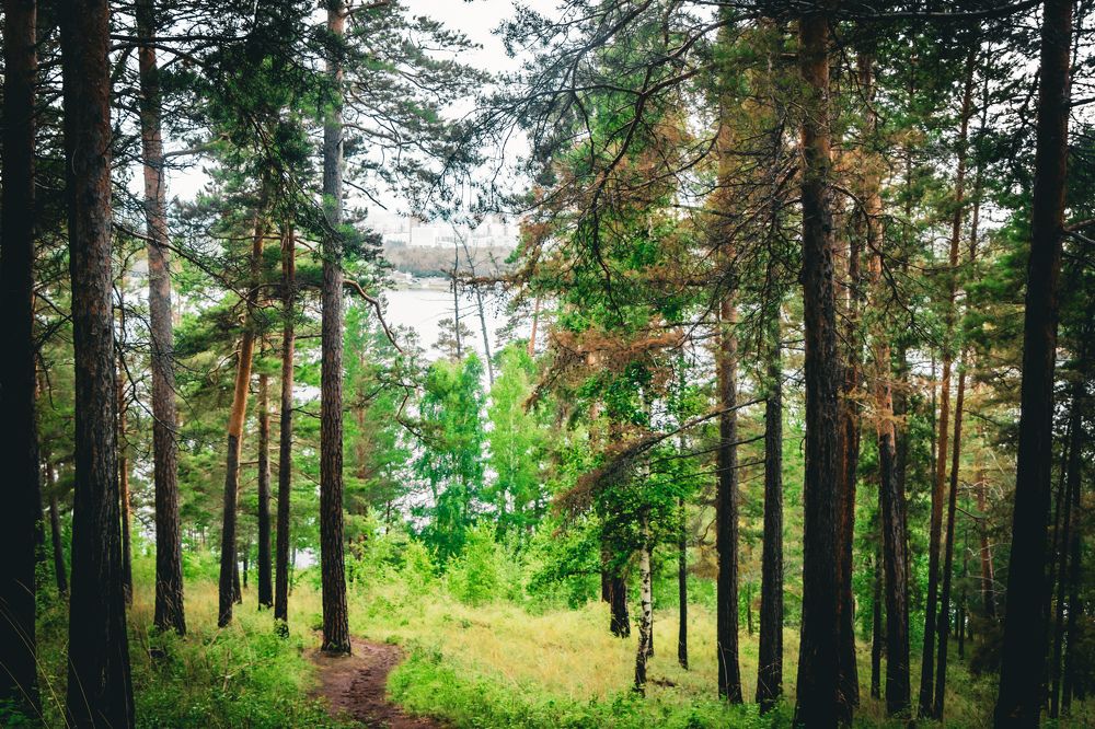 Photograph by Владимир Сушкин