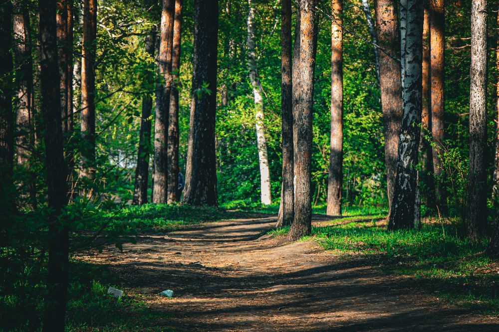 Photograph by Владимир Сушкин