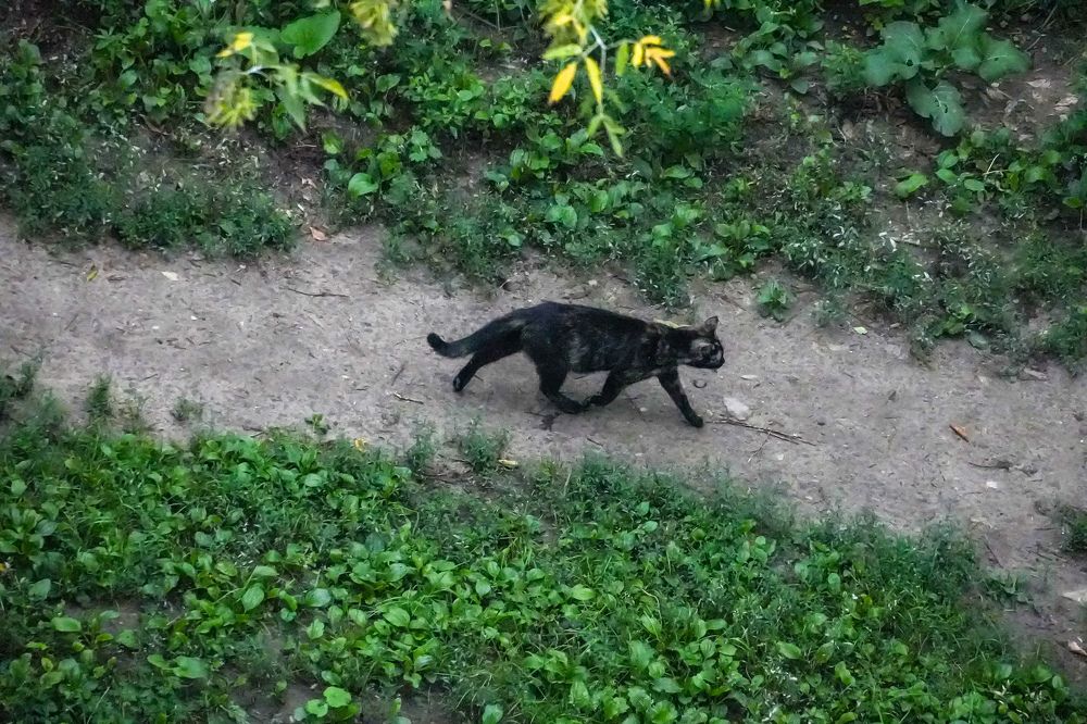 Photograph by Михаил Трусов