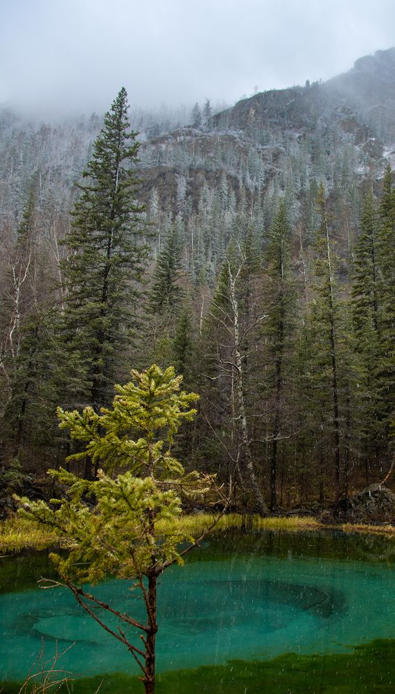 Photograph by Князев Сергей