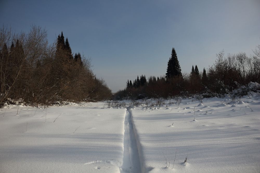 Photograph by Сергей Лапин