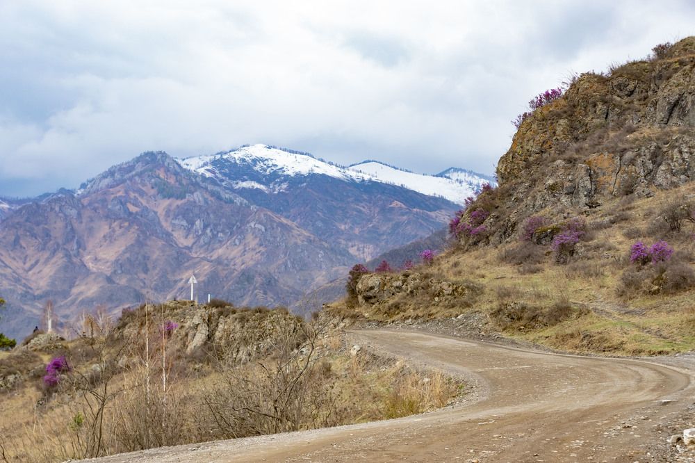 Photograph by ИРЕНА Цурпал