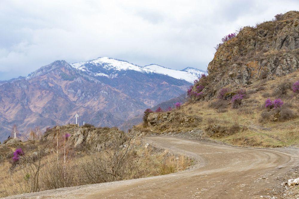 Photograph by ИРЕНА Цурпал