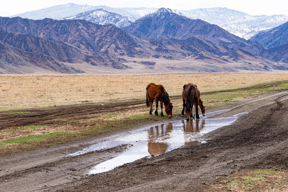 Photograph by ИРЕНА Цурпал