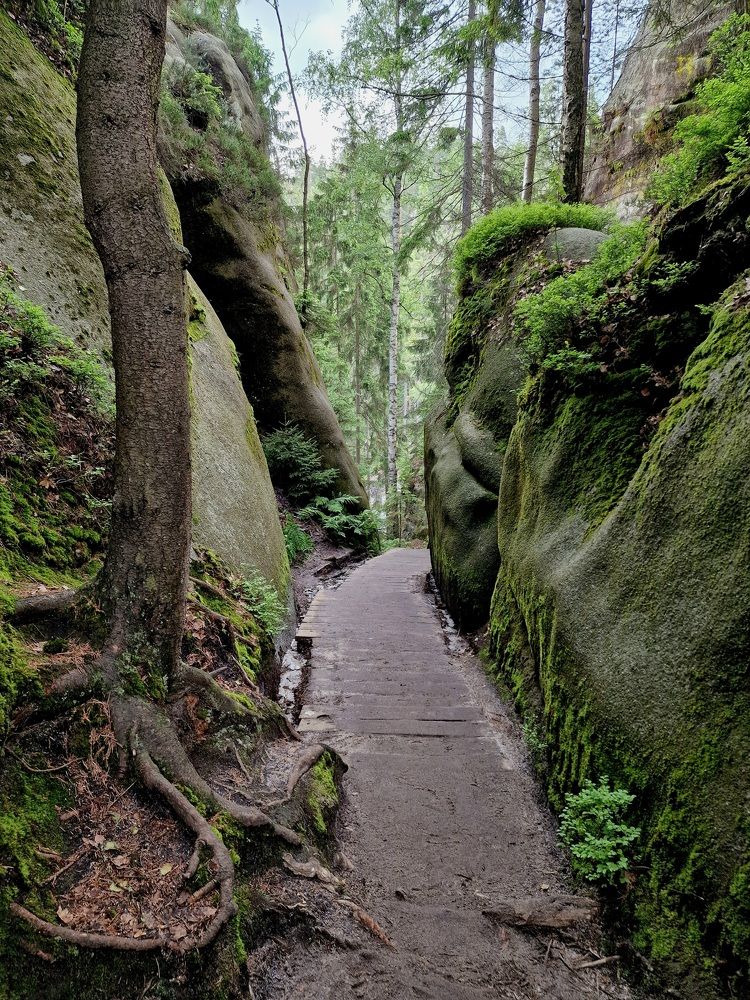 Фотография автора Maryna Pytliak