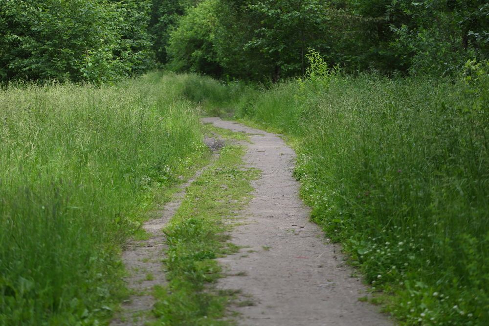 Photograph by Станислав Вершинин