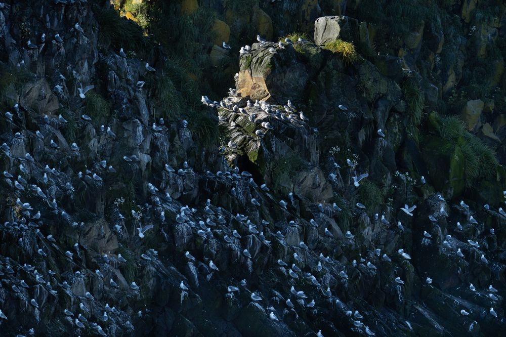 Photograph by Елена Вторушина