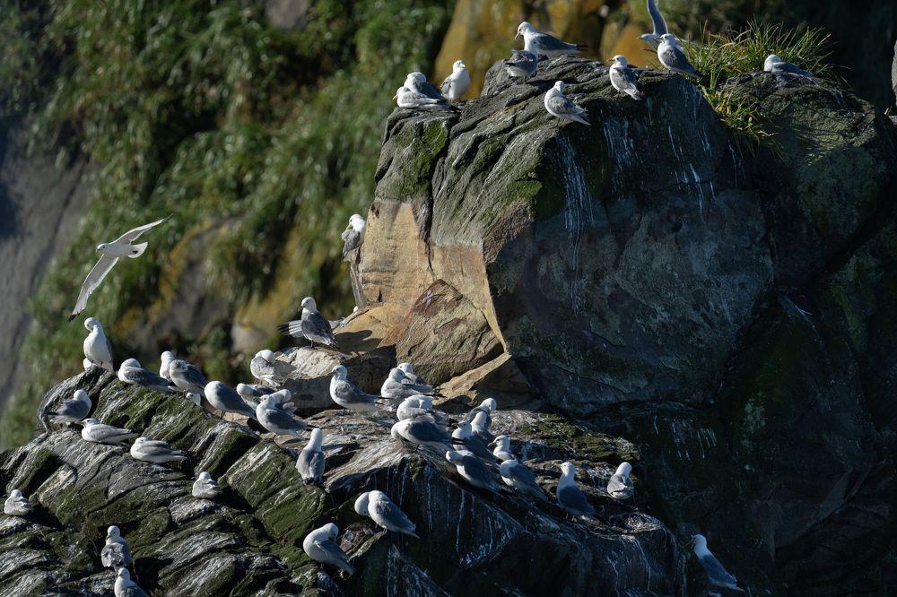 Photograph by Елена Вторушина