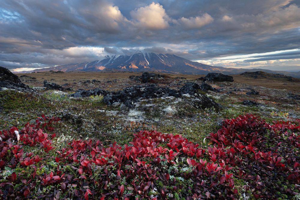 Photograph by Елена Вторушина