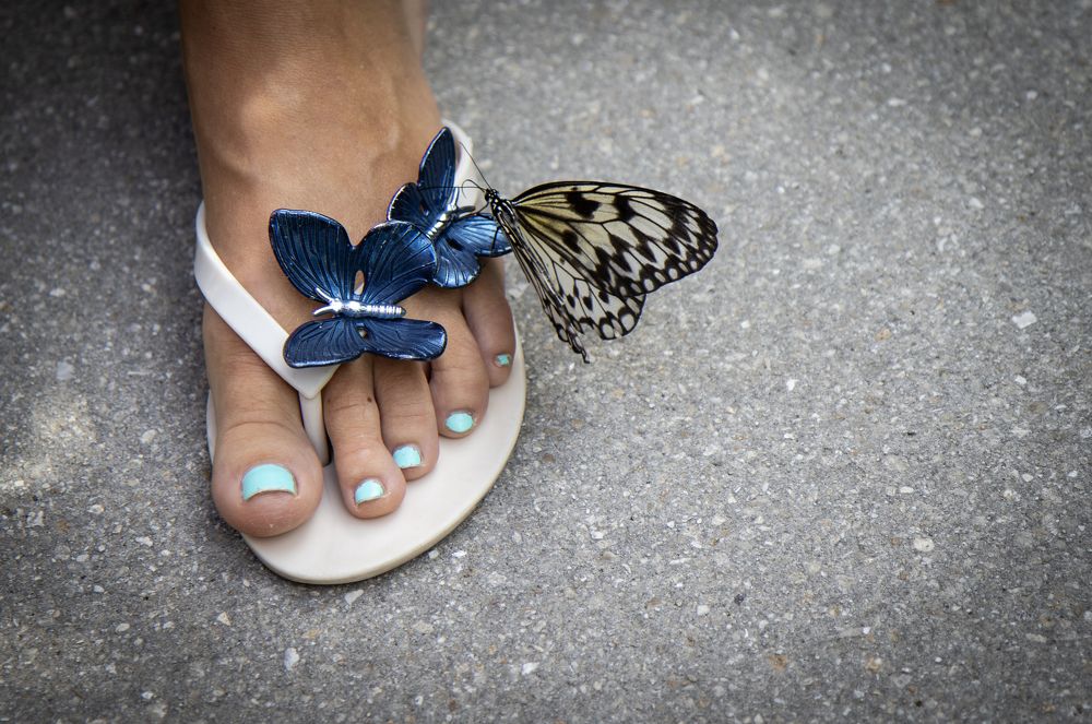 Photograph by Anastasiya Arkin