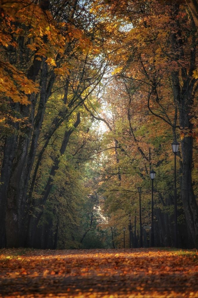 Photograph by Leanid Kulpo