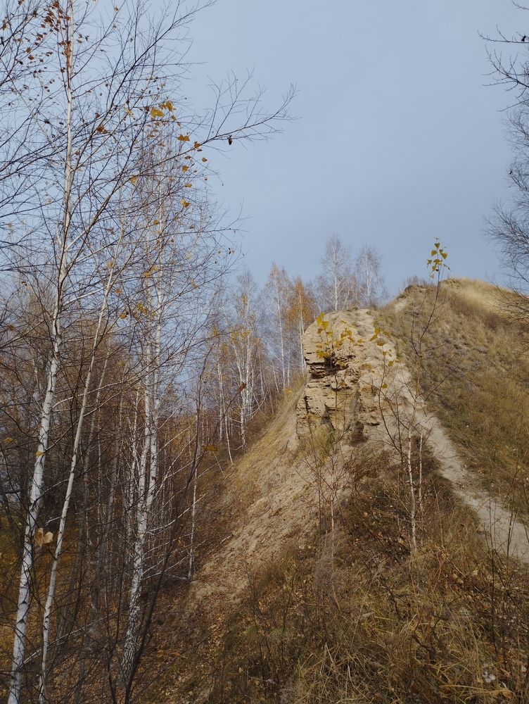 Photograph by Елена Белых