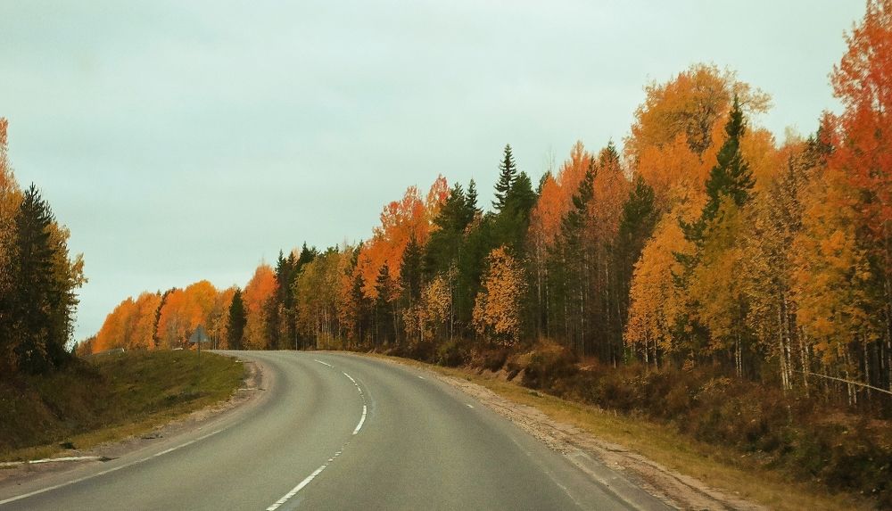 Photograph by Татьяна Бешенкина