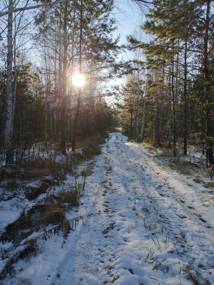 Photo #11228570